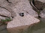 2007-0613-1349-29.jpg